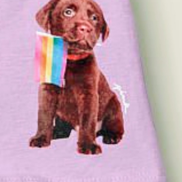 VS PINK PURPLE PRIDE PUPPY PANTIES SHORTS - Picture 2 of 2